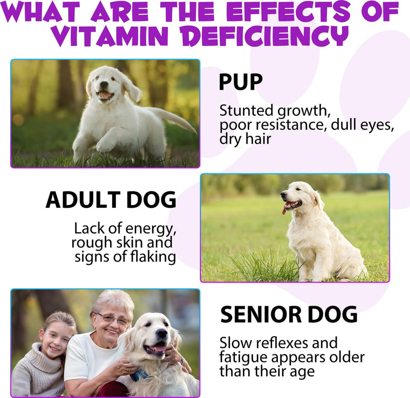 Dog Multivitamin - 15 in 1 Multivitamin Drops for Dogs, Dog Vitamins with Glucosamine Cranberry Supports Joint & Digestion, Skin & Coat, Pets Supplements for Dogs of All Ages, Bacon Flavor - 2 Fl Oz Purple-15 in 1 Multivitamin - PawsPlanet Australia