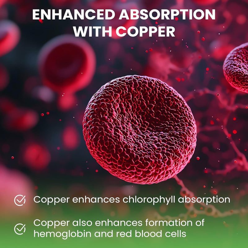 [Australia] - WellPath Chlorophyll Liquid Drops with Copper - High Potency Vegan Liquid Chlorophyll for Body Odor, Liver Detox, Digestion Support & Immune Support - Internal Deodorant, Made in USA, Non-GMO, 2 Fl Oz 2 Fl Oz (Pack of 1) 