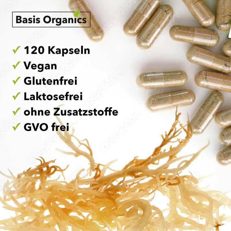 [Australia] - Sea Moss capsules from the alga Irish Moss - 100% natural cartilage kelp, sea moss from wild collection - Stimulates hair growth - Produced & laboratory tested in Germany - 120 capsules (60 days) 