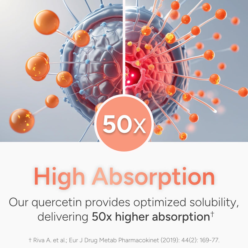 High Absorption Quercetin with Bromelain, Vitamin C and Zinc - 500mg Quercetin Phytosome - 50x More Absorption - Supports Immune Function & Cellular Health - USA Manufactured Supplement - 60 Capsules
