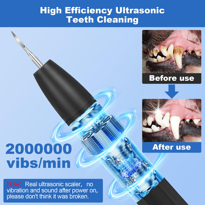 [Australia] - Dog Tooth Brushing Kit, Dog Teeth Cleaning Kit with Led Light, 3 Modes Dogs Plaque and Tartar Remover, Rare Pet Canident - Sonic Tooth Cleaner for Doggies and Cats, Obsidian 
