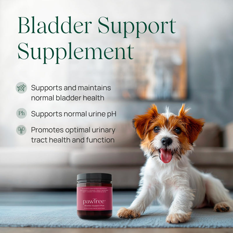 pawTree Bladder Support Plus for Dogs and Cats - Bladder & Urinary Tract Wellness Supplement - with D-Mannose, Cranberry, Glucosamine and Marshmallow Root to Support Bladder Health (Small/Medium) Small/Medium - PawsPlanet Australia