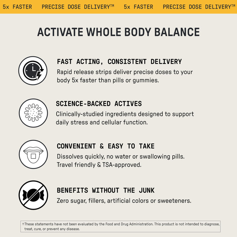 Meche Body Sync™ | Rapid Dissolve Daily Multivitamin Strips (30 Count) | Precise Dose Delivery, High Bioavailability with Vitamins A, C, D3, K2, Methylated B12 Complex & Folate, All Ages & Genders