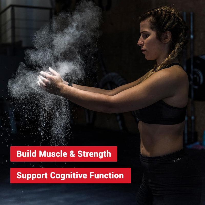 Creatine Monohydrate Micronized Powder 300g – Pure Creatine for Women & Men, 20% More Strength, Gluten-Free, Non-GMO, High Absorption Creatine Powder – 60 Servings (2 Month Supply)