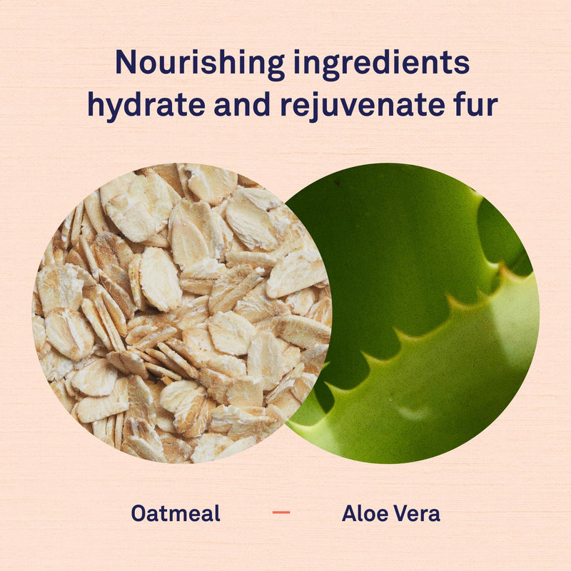 Petpost | Detangling Spray for Dogs with Knots, Mats & Tangles - Naturally Rejuvenating Dog Hair Detangler for Healthier, Shinier, Stronger Fur - Oatmeal, Aloe, and Vitamin E Formula 8 oz. - PawsPlanet Australia