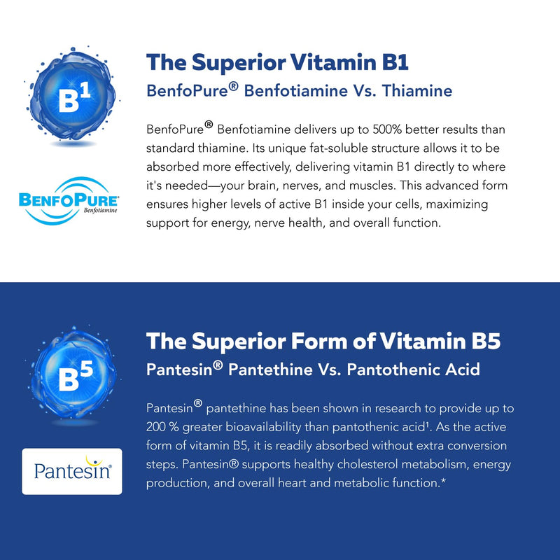 BioActive Vitamin B Complex - Blood Stream Ready, Methylated B Complex - Featuring Methylfolate, 3 BioActive Forms of B12, BenfoPure® B1 & Pantesin® B5 - 12 B Vitamins in Clinical Doses - 60 Servings 60 Count (Pack of 1)