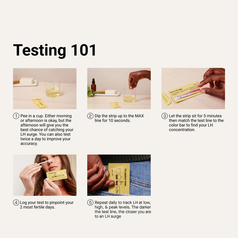 Modern Fertility Ovulation & Pregnancy Test Bundle, Identify Fertile Days, Predict Ovulation, and Detect Pregnancy Early, 20 Strips & 4 Tests