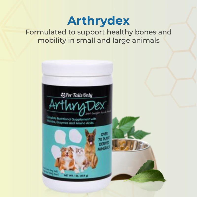 Multi Vitamins, Minerals Joint Support for Pets ARTHRYDEX - 1 LB canister | Vitamins, amino acids and enzymes, bone and joint support for small and large animals, complete pet nutrition, 1 lb canister
