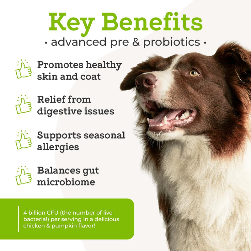 Dr. Joseph's VetPro Complete Advanced Powdered Pre & Probiotics for Dogs, 90 Scoops, Supports Gut Health, Diarrhea, Digestive Health & Seasonal Allergies, Chicken/Pumpkin Flavor, Add to Food - PawsPlanet Australia