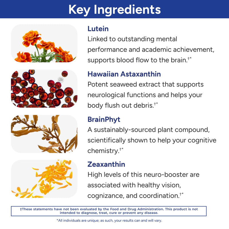 Gundry MD® Power Phenols Brain Health & Energy Supplement, 30 Servings | Cognitive Support, Focus & Productivity Enhancement, Energy Boost, Sugar & Artificial Sweetener Free, With Astaxanthin