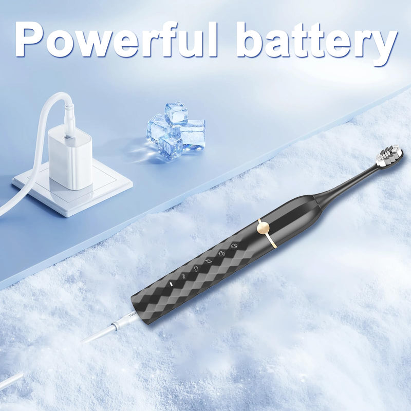 [Australia] - Electric Toothbrush Set, Equipped with 10 Brush Heads and Travel case, IPX8 Waterproof, 2-Minute Timer, 42000 high-Frequency Vibrations, 5 Modes, The First Choice for Gift Giving Black 