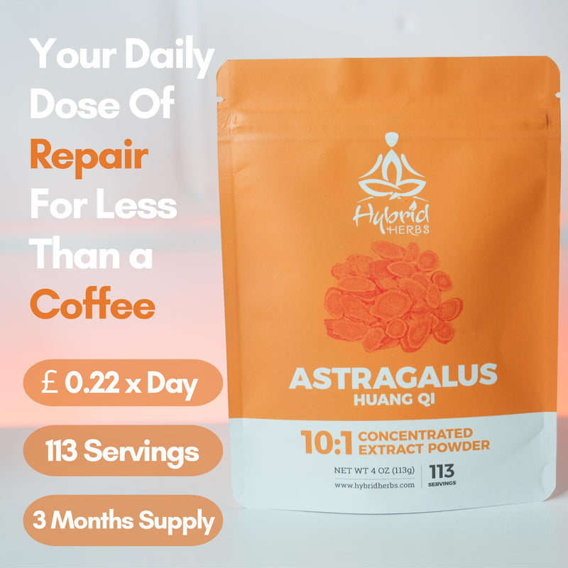 Astragalus Powder | High Potency Supplement - 113 Servings (113g) ASTRAGALUS