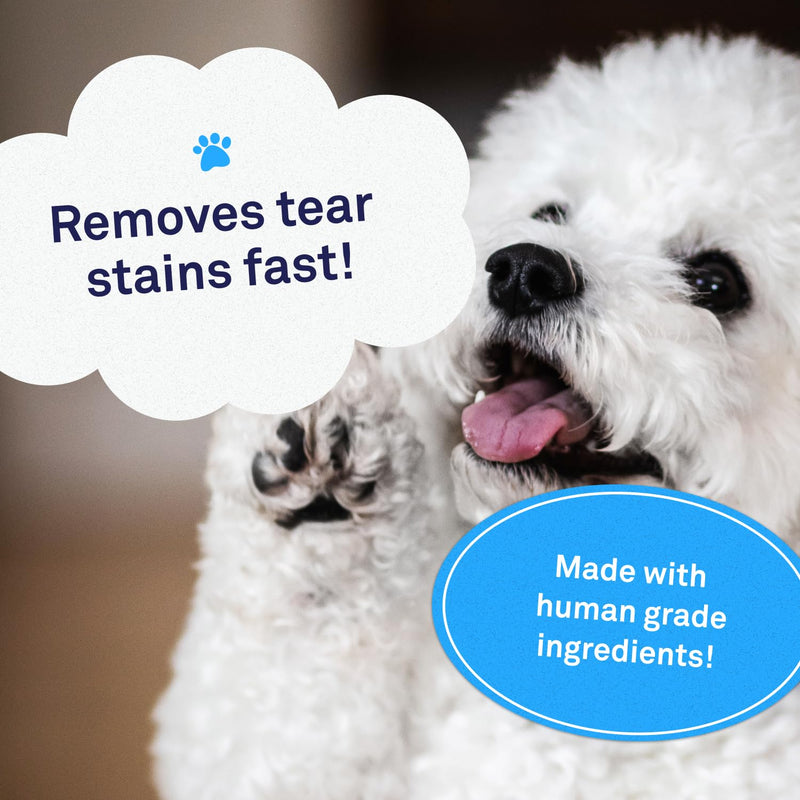 Petpost | Tear Stain Remover Chicken Flavored Soft Chews - Delicious Chicken Treat & Eye Stain Supplement for Dogs - Natural Treatment for Tear Stains on White Fur Angels 90 ct. 90 Count (Pack of 1) - PawsPlanet Australia