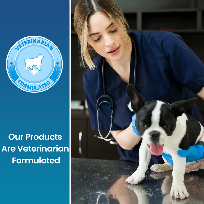 Replenish Probiotic and Digestive Enzyme Chews for Dogs - Dr. Rachel's Daily Canine Probiotics and Dog Digestive Enzymes, Nutrient Absorption Chews - Pet Dietary Balance, Stomach Relief - 60 Count - PawsPlanet Australia