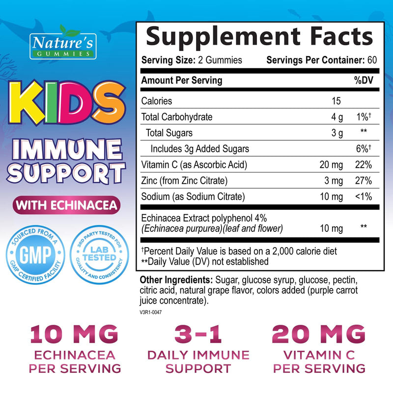 Kids Immune Support Supplement Gummies - Daily Childrens Vitamins C, Zinc & Echinacea - Gummy for Kids Immune Support, Ages 4 and Up, Natural Berry Flavor, Non-GMO, Gluten-Free & Vegan - 120 Gummies 120 Count (Pack of 1)