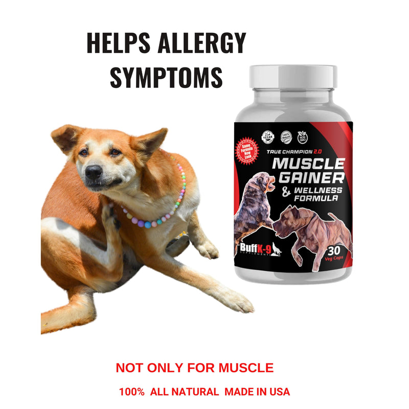 BuffK-9's 3-in-1 Dog Muscle Builder and Weight Gainer for Dogs Capsules for Puppies & Adult Dogs - All Breeds -Top Choice Canine Dog Supplement for Muscle Gains - 30 Caps - PawsPlanet Australia