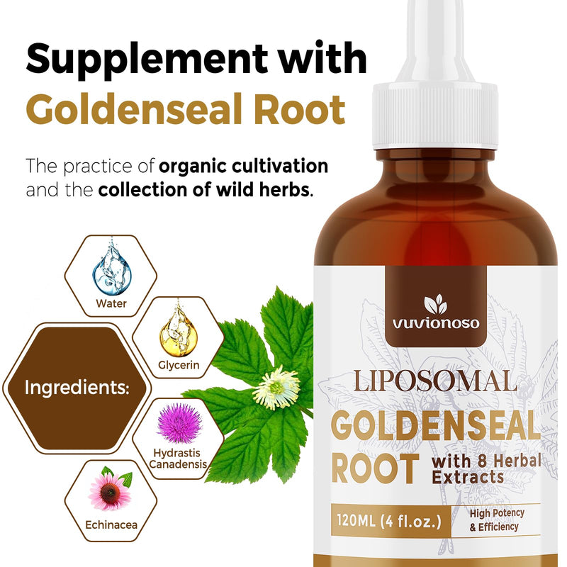 [Australia] - Goldenseal Root Extract 3000mg for Immune and Respiratory Wellness - Fast Absorbing | Sugar-Free | Vegan | 4 Fl Oz 4 Fl Oz (Pack of 1) 