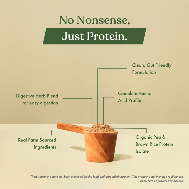 [Australia] - No Nonsense Plant Protein | Organic Brown Rice & Pea Isolate | Easy Digestion | 24G Protein/Serving | Gluten & Lactose Free | (Chikmagalur Mocha, 500g) Chikmagalur Mocha 0.18 Ounce (Pack of 100) 