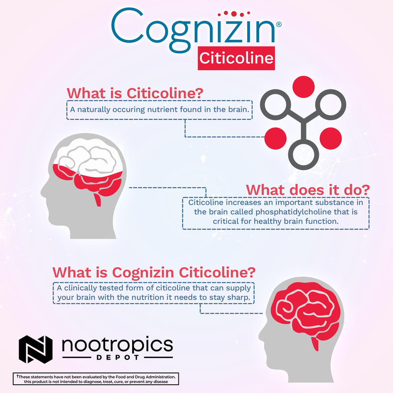 [Australia] - Nootropics Depot Cognizin Citicoline Capsules | 60 Count | Choline Supplement | Brain Health Supplement | Regulates Memory and Cognitive Function | Supports Attention, Focus and Recall 60 Count (Pack of 1) 