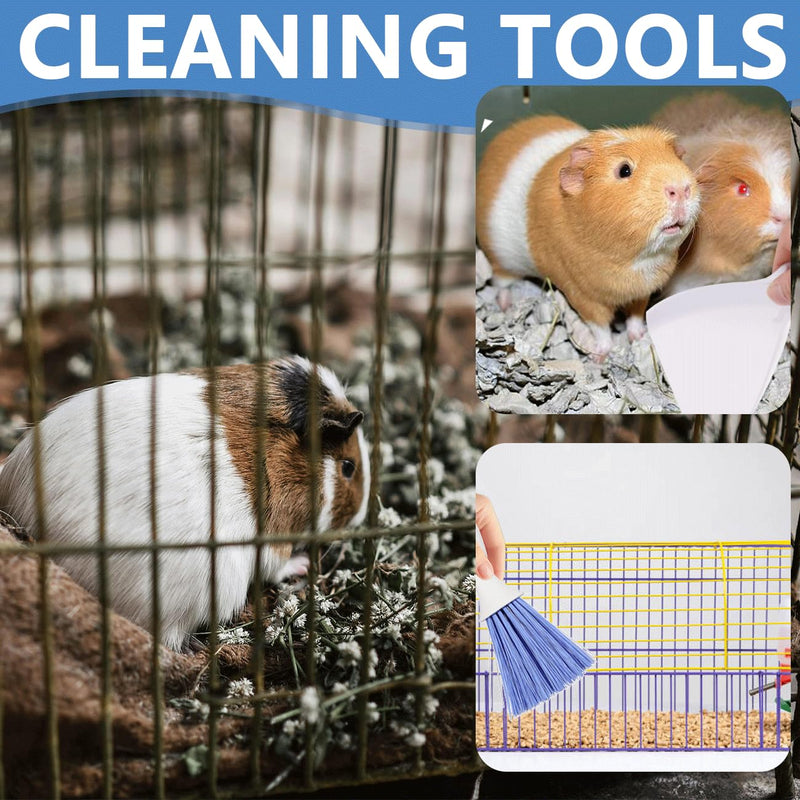 Mini Dustpan and Brush, Reptile Scoop Feeding Tool, Stainless Steel Straight Tweezers and Curved Tweezers for Reptiles, Hamsters, Hedgehogs, Rats, Guinea Pigs, Lizards and Other Small Animals White, Black - PawsPlanet Australia