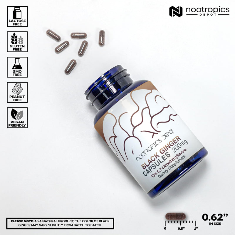 [Australia] - Nootropics Depot Black Ginger Extract Capsules | 10% 5,7-dimethoxyflavone | 60 Count 60 Count (Pack of 1) 