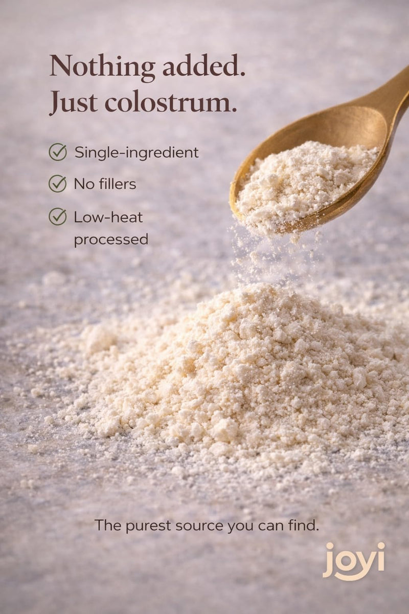 Joyi Colostrum Powder – Grass Fed Bovine Colostrum – Unflavoured Food Supplement – Sugar Free, Keto Friendly – 150g (30 Daily Servings)