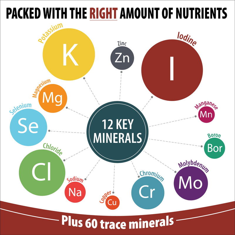 [Australia] - Trace Mineral Complex | Full Spectrum Minerals | Ionic Liquid Mineral Drops for Water | Electrolytes, Hydration Supplement | 2 fl oz Glass Bottle 
