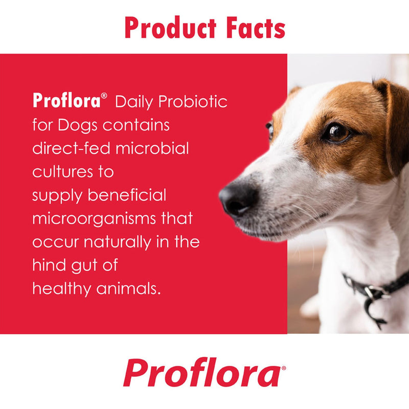 Proflora Probiotic Soft Chews for Dogs - Veterinary-Strength Daily Probiotic - Digestion Health - Boost Immune System - Skin and Coat Health - 180 Soft Chews - PawsPlanet Australia