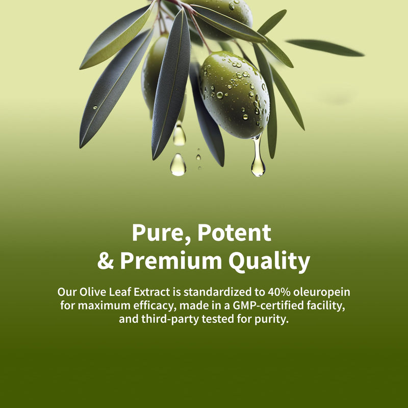 [Australia] - Snap Supplements Olive Leaf Extract Capsules - Super Strength 40% Oleuropein for Blood Flow Support, Improve Digestion, Antioxidant Boost Supplement, Improve Brain Function (60 Capsules) 