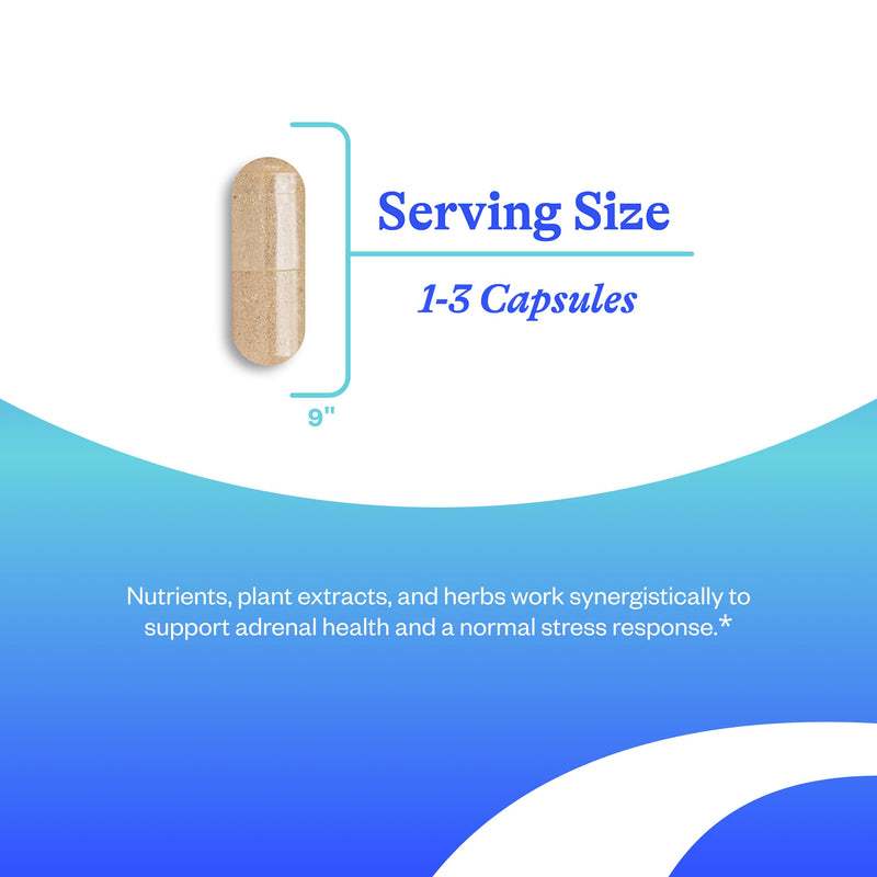 [Australia] - Seeking Health Stress Nutrients, formerly Adrenal Nutrients, Adrenal Support Supplement, Healthy Cortisol Regulation and Normal Stress Response Support (90 capsules)* 