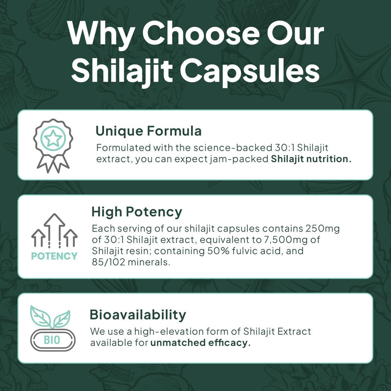 [Australia] - One-Per-Day Shilajit for Men and Women - Natural Shilajit Supplement for Age-Defying, Bone Strength, Hormone Support and More - 30 Shilajit Capsules 30 Count (Pack of 1) 