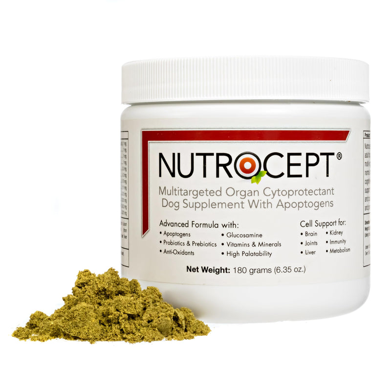 Adult Dog Supplement and Organ Cytoprotectant - Supports The Brain, Joints, Kidneys and Liver and Promotes Energy and Vitality - PawsPlanet Australia