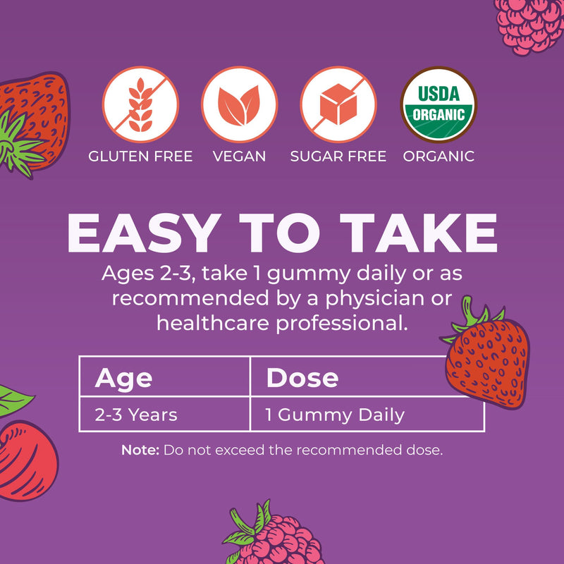 MARYRUTH'S Organic Toddler Multivitamin Gummies, 2 Month Supply, Ages 2+ | Vitamin A, C, D, E, B6, B12, Biotin, Iodine, Zinc, Immunity, Bone & Teeth Health, Skin & Vision Support 60 Count (Pack of 1)