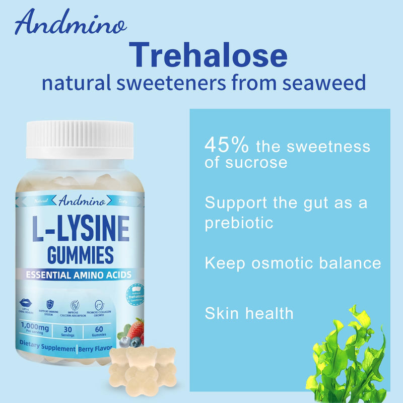 [Australia] - L-Lysine Gummies 1000 mg, with Trehalose, L Lysine Gummies for Lips & Oral Wellness, Immune Support & Collagen & Calcium, for Adults & Kids, Non-GMO, Vegan, Gluten Free, Berry Flavor, 60 60 Count (Pack of 1) 