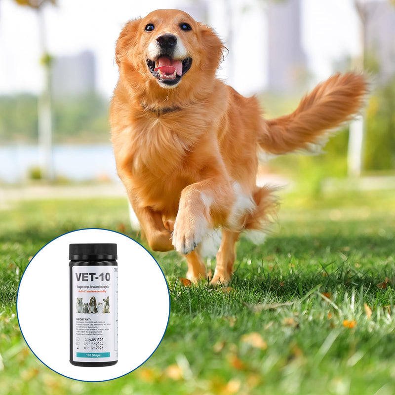 [Australia] - Amexo 100 strips urine test strips pet rapid test ketosis test strips for 10 indicators urine analysis household for cats and dogs urine test strips urinary tract infection 