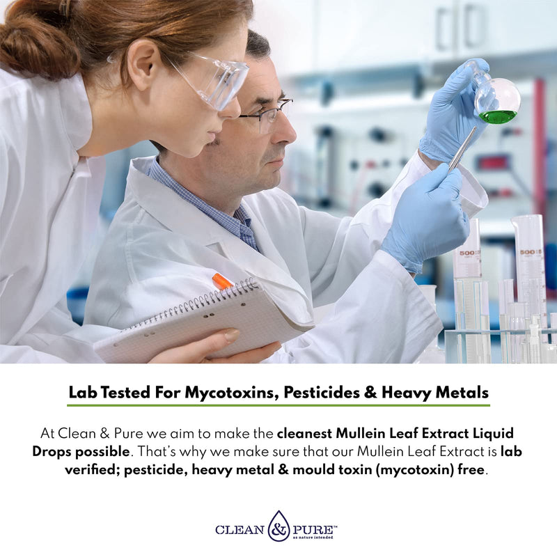 Clean & Pure Mullein Leaf Extract Liquid Drops 100ml | Lab Tested for Mycotoxins & Heavy Metals