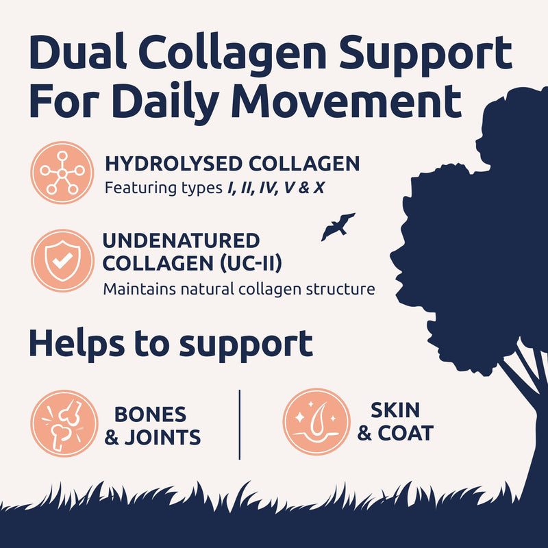Collagen for Dogs | Dog Joint & Mobility Supplement with Hydrolysed Bovine & Eggshell Collagen | Supports Hips, Joints & Stiffness | Award-Winning | 225g Powder