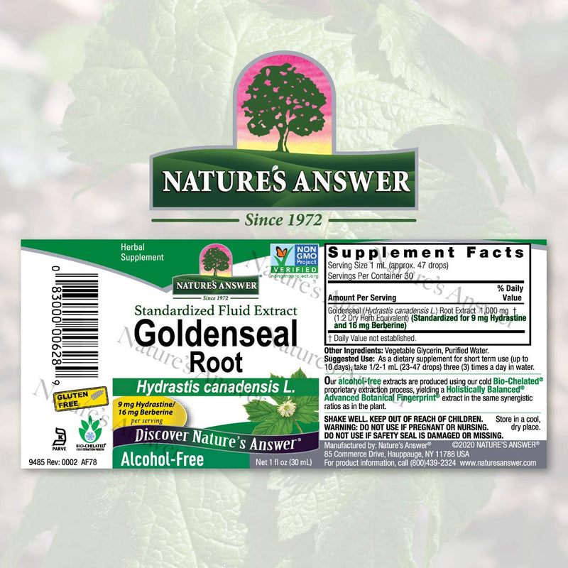 [Australia] - Nature's Answer Goldenseal Root | Herbal Supplement | Supports A Healthy Immune System | Gluten-Free & Alcohol-Free 1oz (2 Pack) 