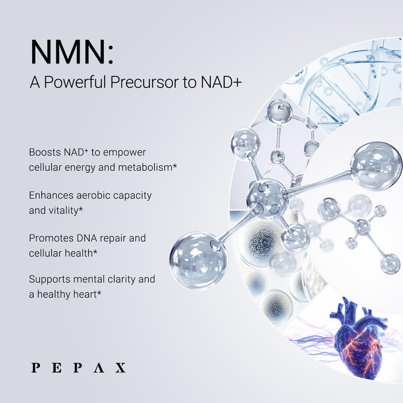 NMN Supplement 500mg - 99% Pure NMN Capsules, 3rd Party Tested High Purity NAD Supplement for Healthy NAD+ Levels & Healthy Aging - 90 Capsules (45 Servings), Made in USA