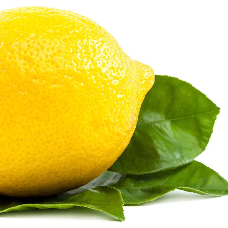 Earth To Skin Super Foods Lemon + Basil Hand & Body Creme Gel (8.0 Fl Oz) 8 Fl Oz (Pack of 1)