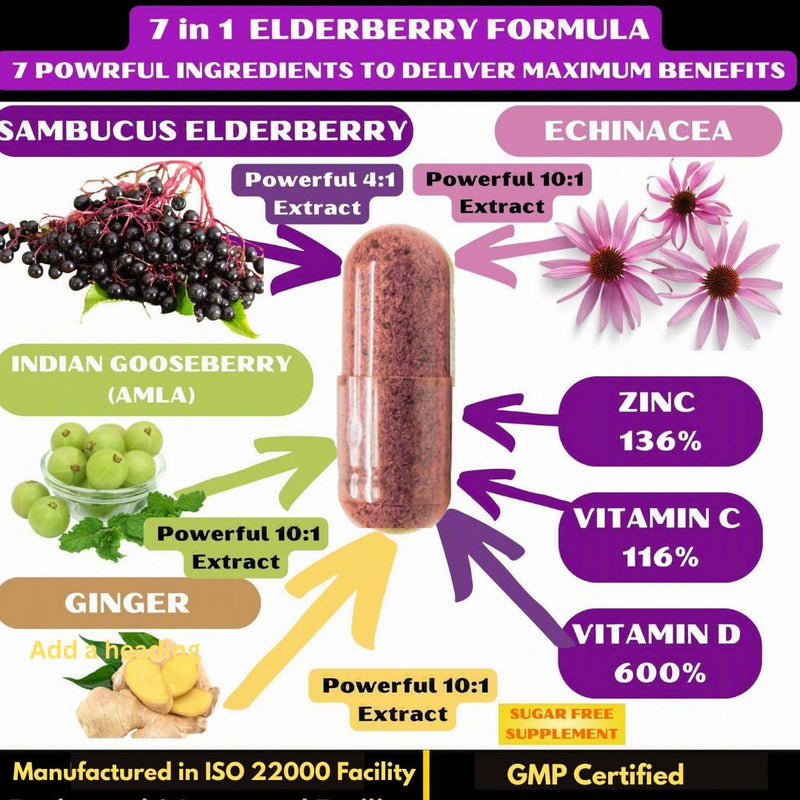 7 in 1 Elderberry with ZINC, Vitamin C, Vitamin D, Echinacea, Ginger & Indian Gooseberry (Amla).Premium Elderberry Capsules 90 ct, All Natural,Non-GMO,Vegan,No Rice Powder, No-Gluten 90 Count (Pack of 1)