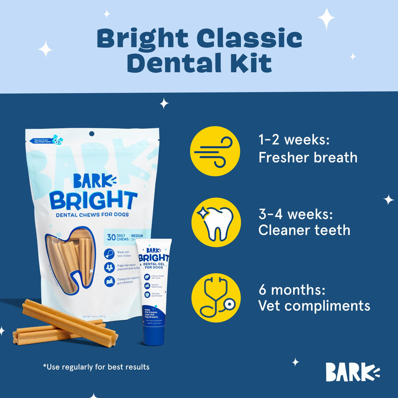 [Australia] - Barkbox Bright Original Dog Dental Kit, 30 Teeth Cleaning Chew Sticks & Toothpaste - Medium Breeds 