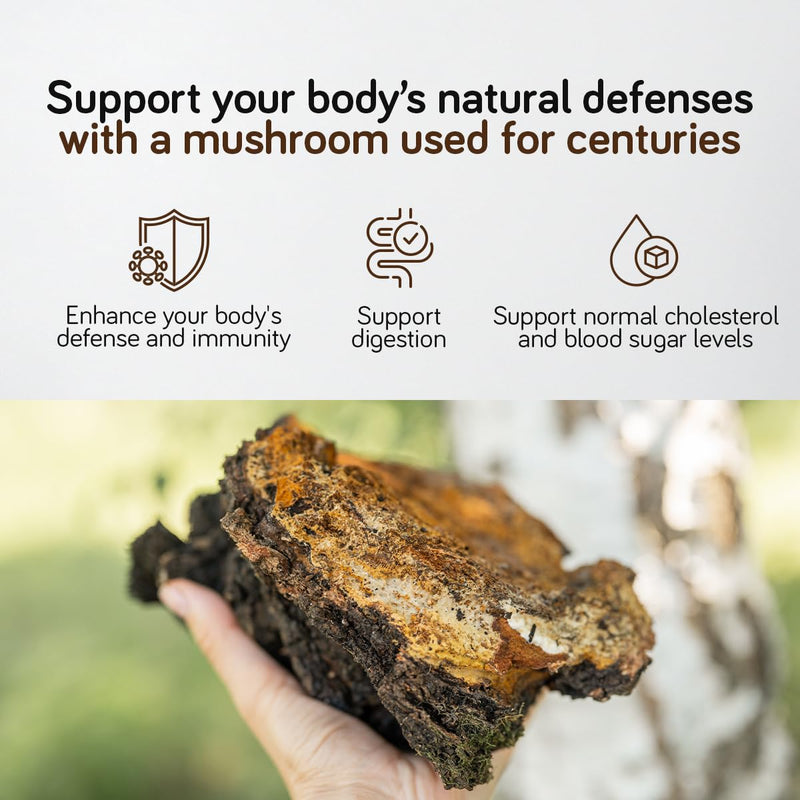 Chaga Mushroom Capsules 8000mg – High-Strength Chaga Supplement – Dual Extract with 30% Polysaccharides – 180 Capsules – Fruiting Body – Wild-Harvested from Birch Trees – Ambervit