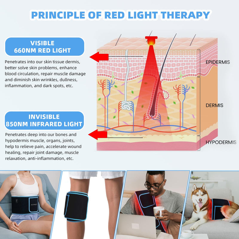 [Australia] - Red Light Therapy Infrared Light Therapy Wrap Belt for Body Pain Relief Wearable Large Pad for Waist Back Stomach Muscle Repair, Decrease Inflammation, Speed Healing LED 660nm&850nm with Controller 1 Count (Pack of 1) 