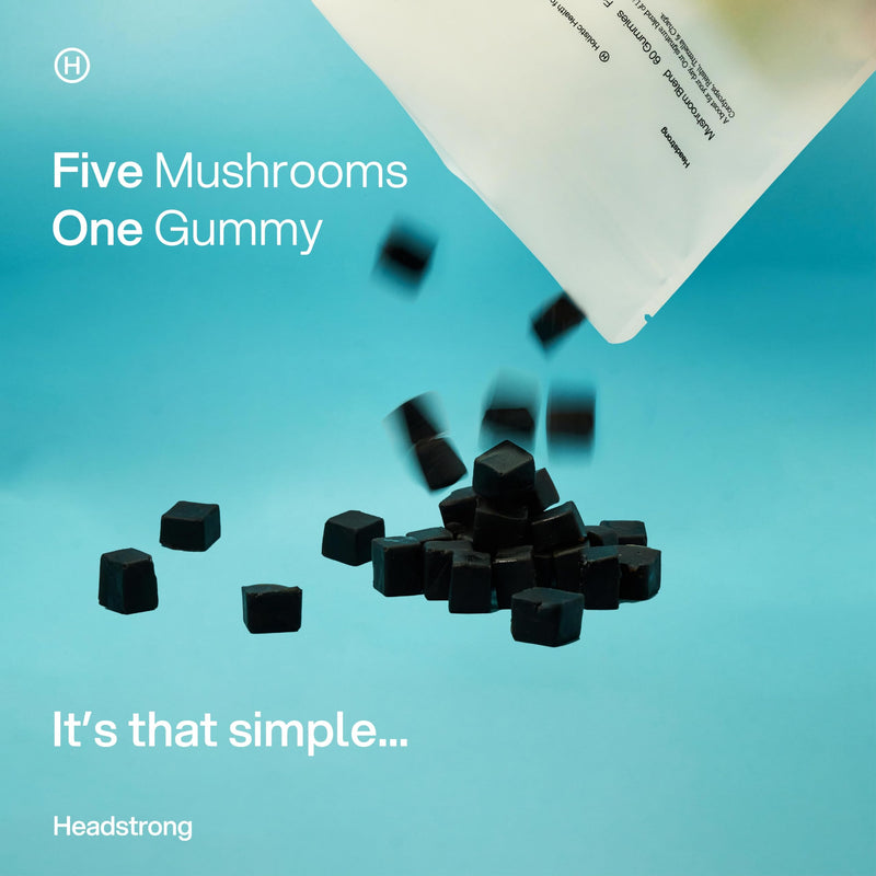 Headstrong Mushroom Gummies, 90% Active Compound Yield, Ultrasonic Triple Extract, Lions Mane, Reishi, Cordyceps, Tremella, Chaga - 2500mg Mushroom Extract, 60 High Strength Mushroom Gummies