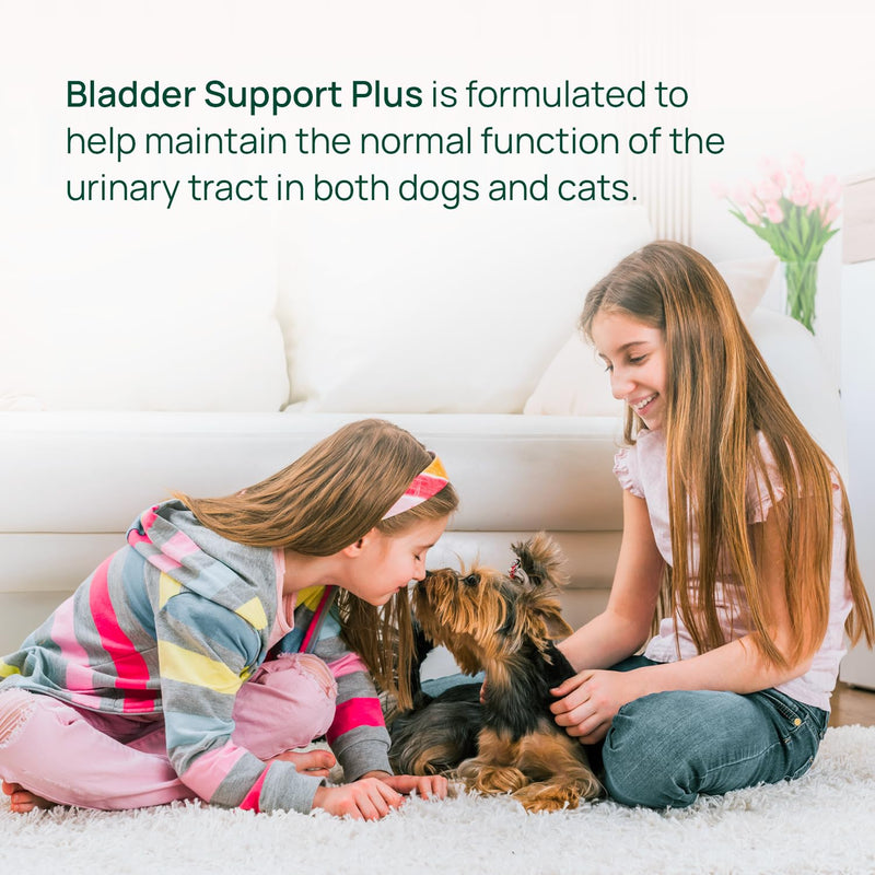 pawTree Bladder Support Plus for Dogs and Cats - Bladder & Urinary Tract Wellness Supplement - with D-Mannose, Cranberry, Glucosamine and Marshmallow Root to Support Bladder Health (Small/Medium) Small/Medium - PawsPlanet Australia