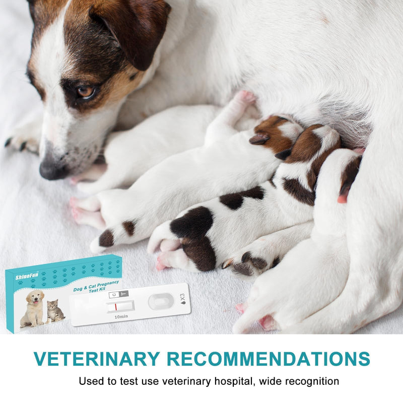 Dog & Cat Pregnancy Test Kit at Home,Dog Urine Test - Urine-Based, 98.8% Accurate, 10-Minute Results, Painless(1 PCS) 1 pcs