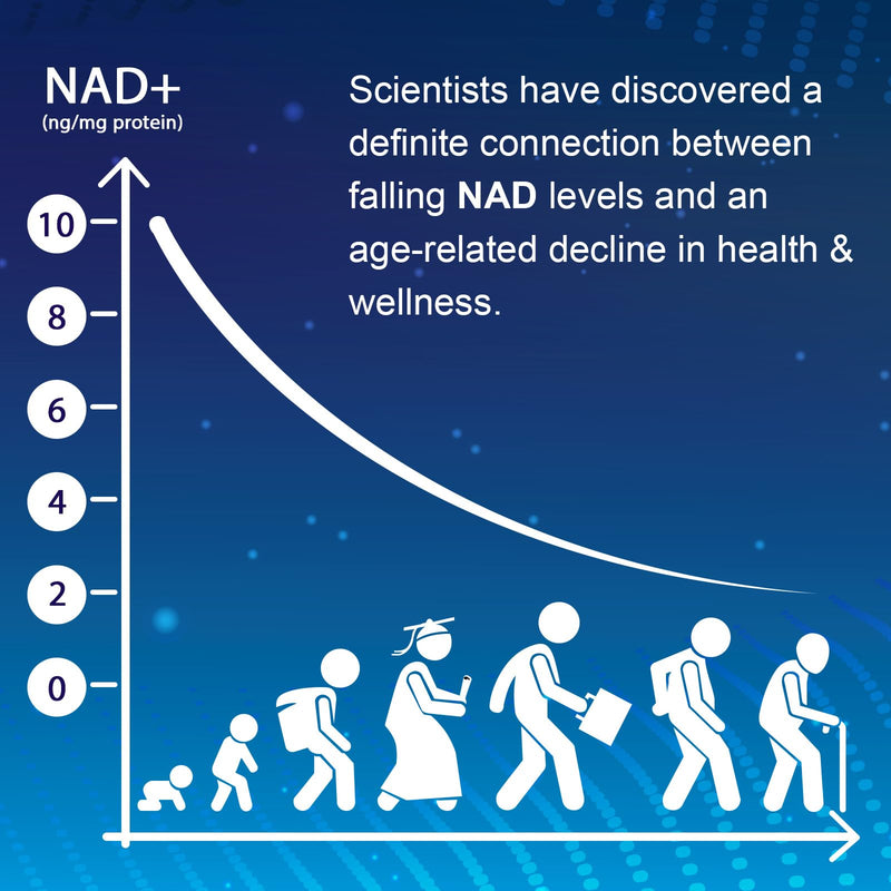 NMNH Supplement, Nad Supplement for Anti-Aging, 60 Capsules (60 Servings) | NMNH (Dihydronicotinamide Mononucleotide) for Boost NAD+ Levels as We Age (May Be More Effective Than Nicotinamide Riboside) 60 Count (Pack of 1) 60 Count (Pack of 1)