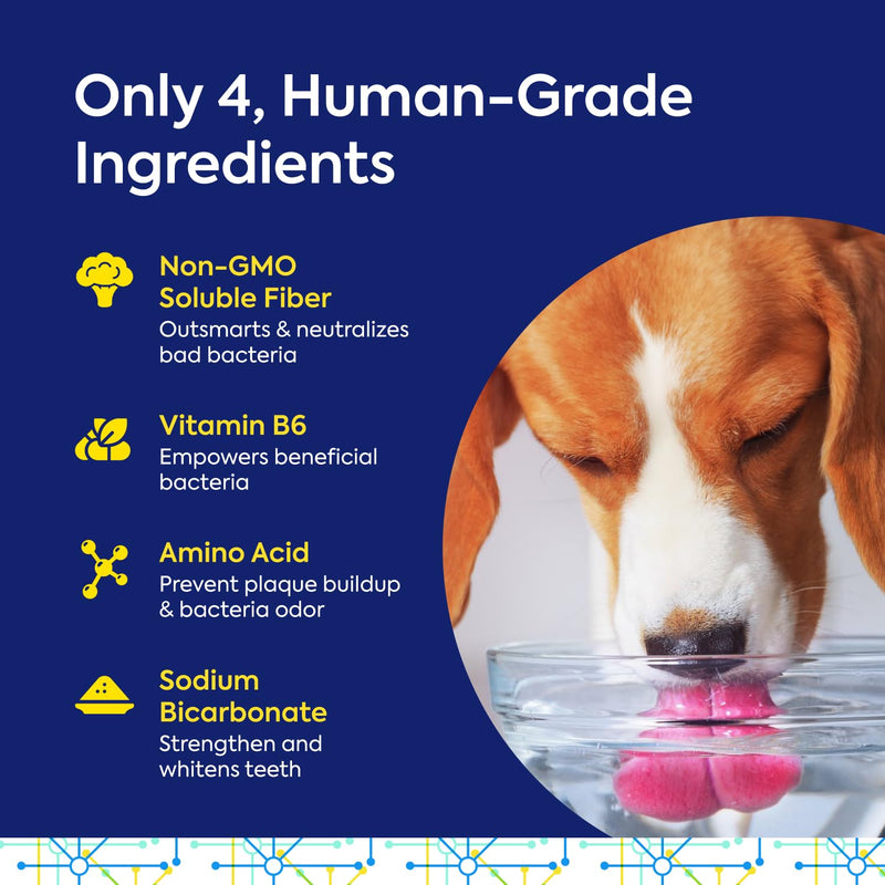 Protektin42 Plant-Derived Prebiotic Dental Powder for Dogs, Daily Dental Care, Clinically-Proven Formula Naturally Fights Plaque and Tartar, Refill Packet with 30 Servings Refill Packet (30 Servings) - PawsPlanet Australia