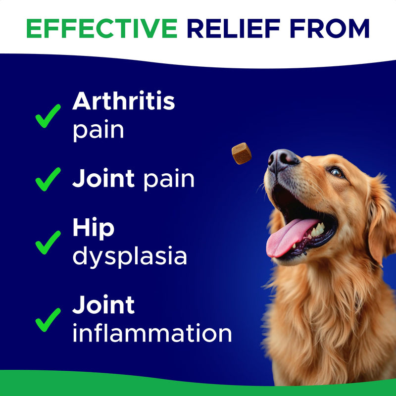 Glucosamine for Dogs Hip & Joint Supplement - Chondroitin, Omega-3, MSM - Joint Health & Pain Relief - Senior & Large Dogs - Made in USA - 120 Mobility Chews 120 Glucosamine Treats - PawsPlanet Australia